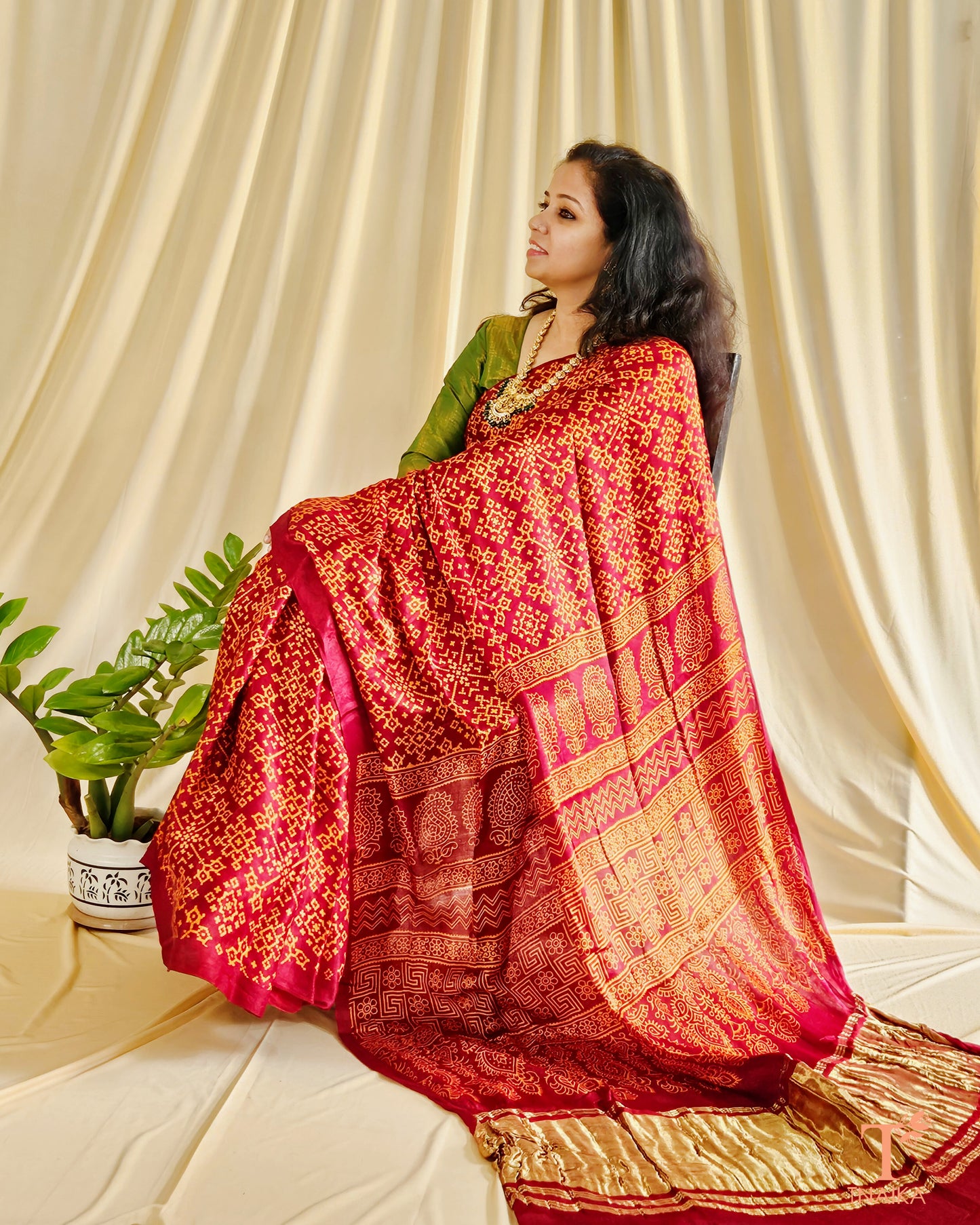 Modal Silk Rang Patta Patola Saree - Brick Red