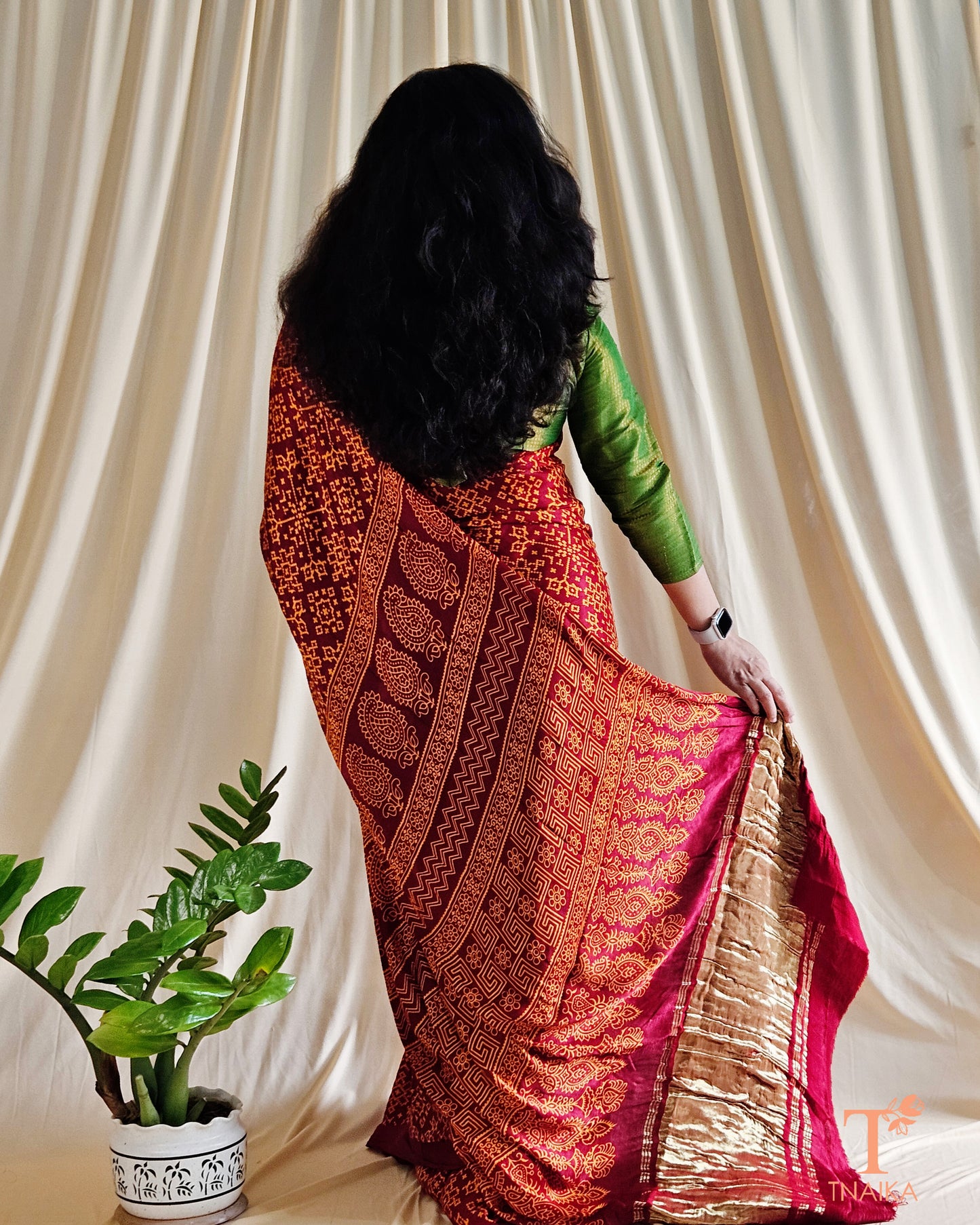 Modal Silk Rang Patta Patola Saree - Brick Red