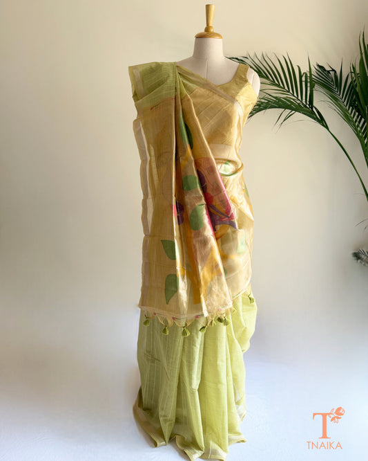 Cotton saree with Paithani-inspired multicolour pallu