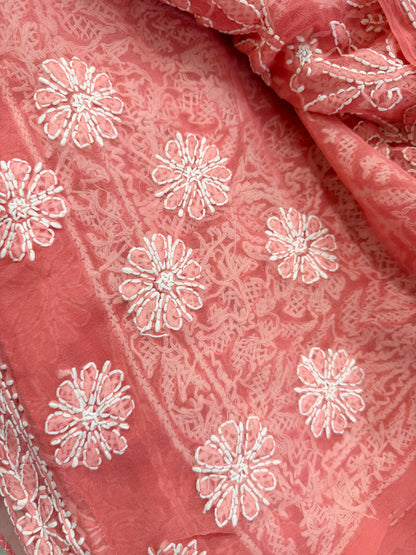Chikankari Cheeku Jaal Saree