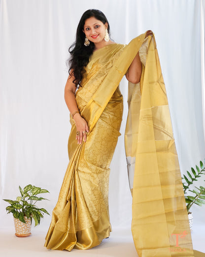 tissue silk saree buy tissue silk saree online tissue saree banarasi tissue saree pure tissue silk saree tissue silk saree with zari border handloom tissue silk saree Plain tissue silk saree printed tissue silk saree best tissue saree near me where to get tissue silk saree affordable tissue silk saree zari tissue silk saree