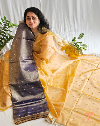 tissue silk saree buy tissue silk saree online tissue saree banarasi tissue saree pure tissue silk saree tissue silk saree with zari border handloom tissue silk saree Plain tissue silk saree printed tissue silk saree best tissue saree near me where to get tissue silk saree affordable tissue silk saree zari tissue silk saree