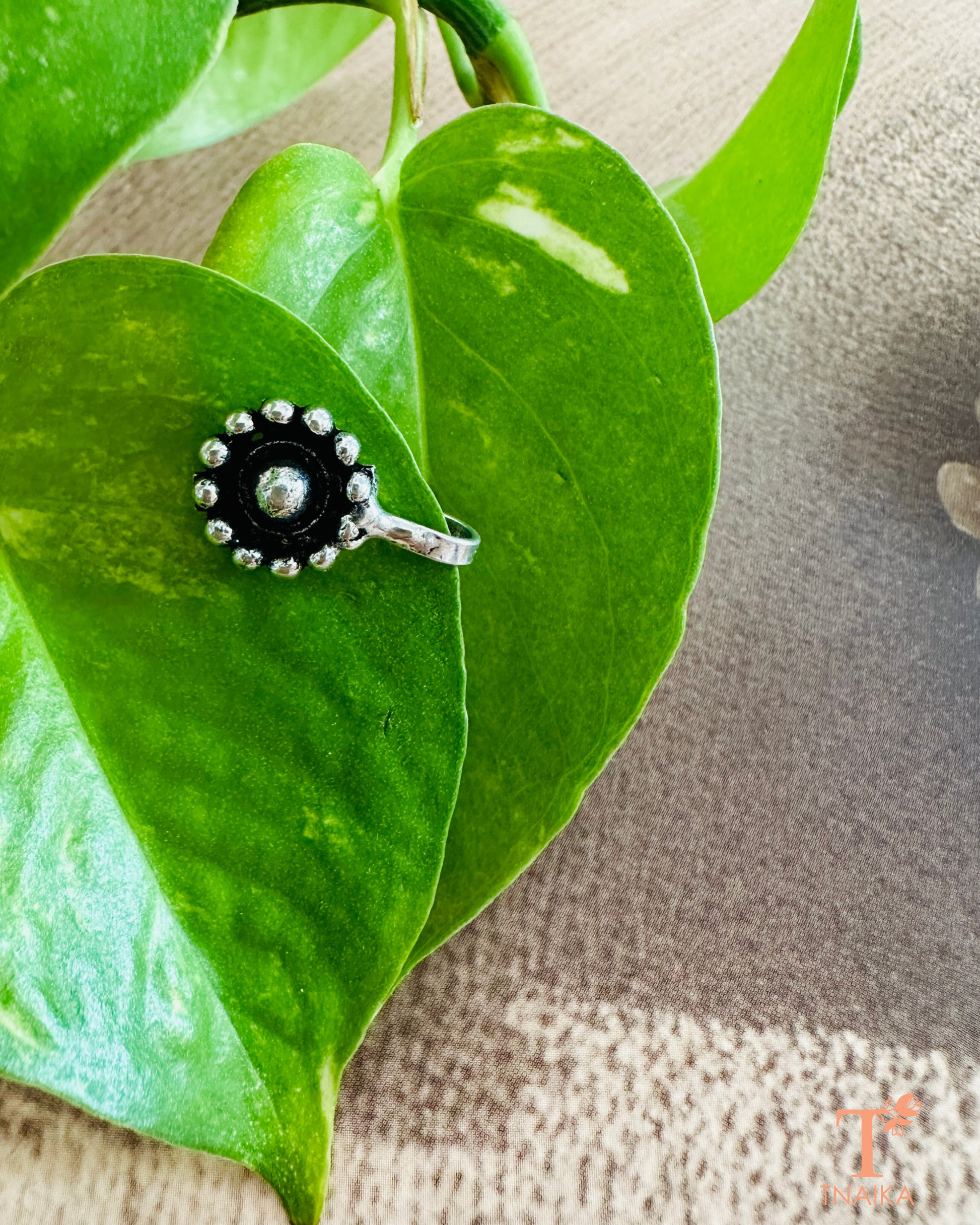 Elegant traditional simple nath for festive and casual looks