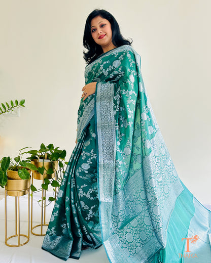 Detailed border and body design of Banarasi silk saree
