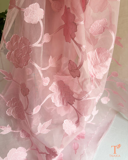 Sheer organza saree with detailed floral motifs