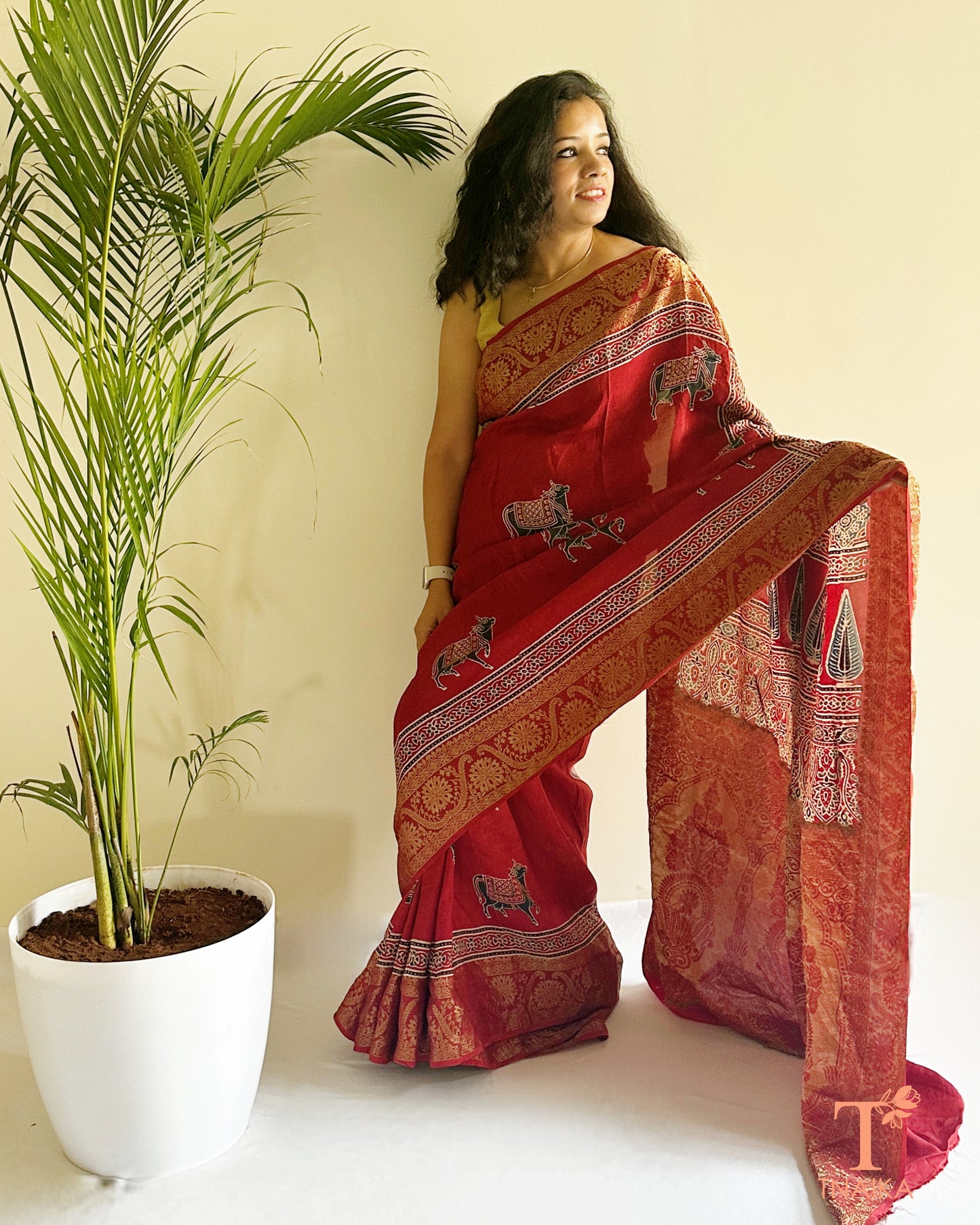 Red ethnic saree with heavy border and classic woven design