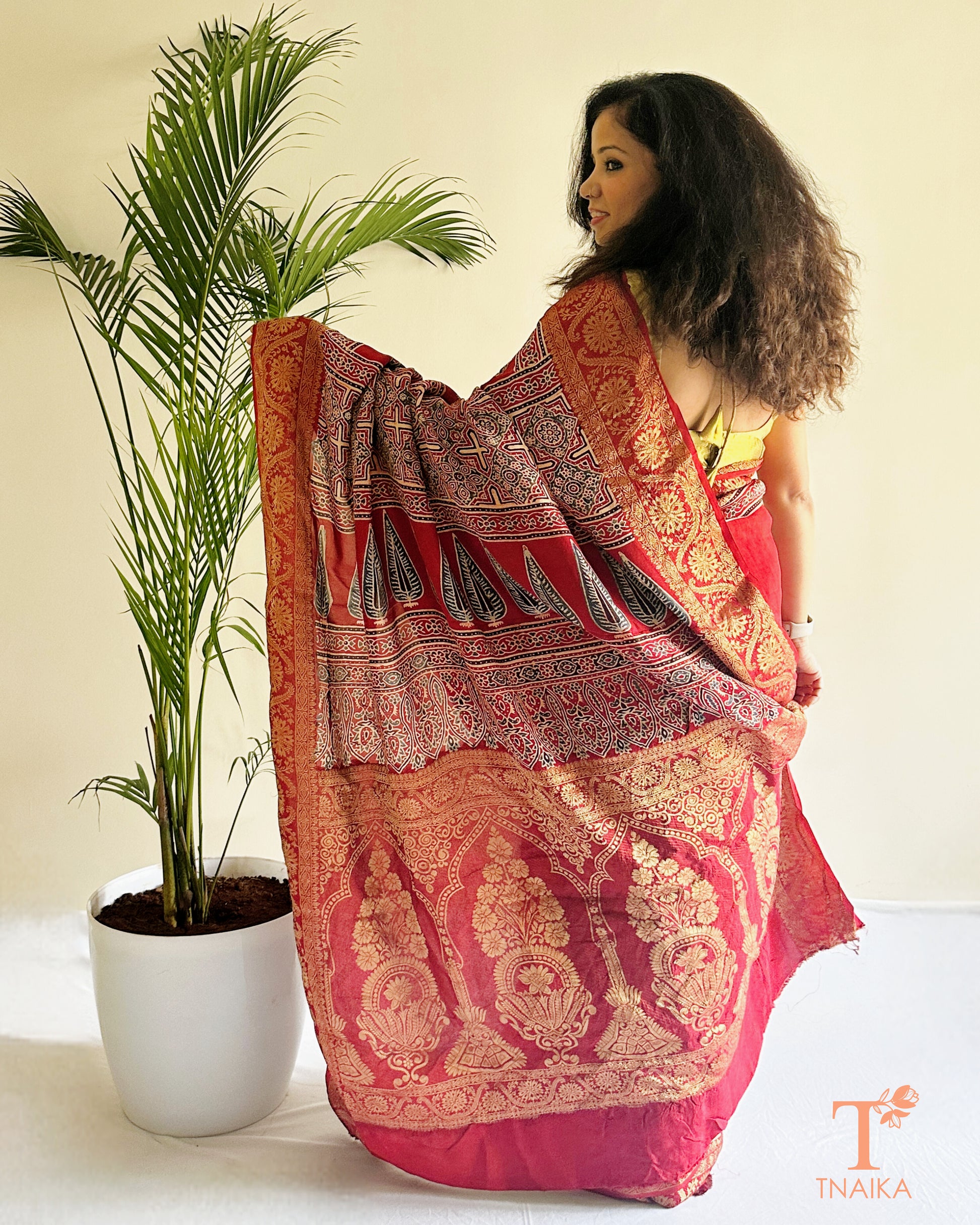 Traditional red silk saree with woven motifs and detailed pallu