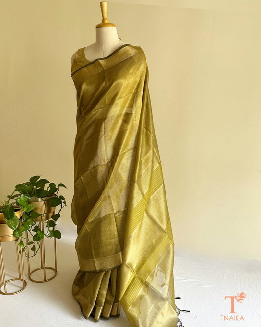 Olive gold tissue silk saree with zari border and tassel pallu draped on mannequin by Tnaika™