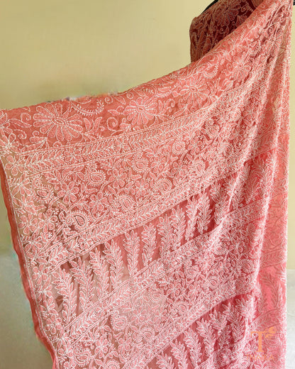 Chikankari Cheeku Jaal Saree