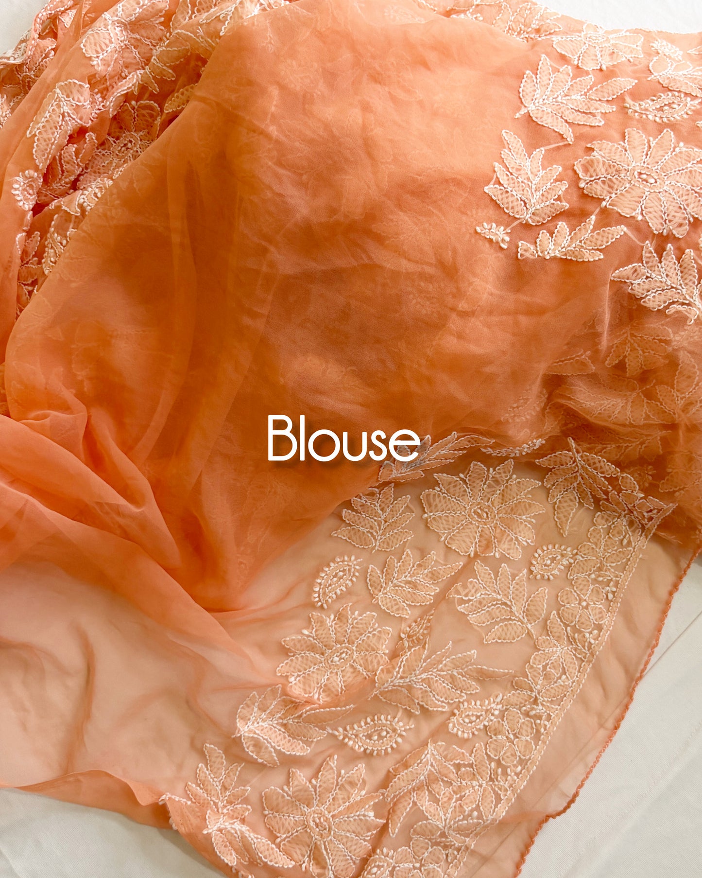 Pastel blush peach handcrafted Chikankari saree with detailed floral embroidery in blouse.