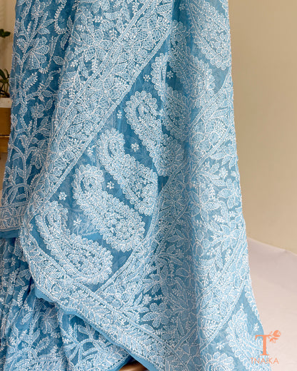 Elegant powder blue Chikankari embroidered saree featuring handcrafted floral and paisley threadwork.