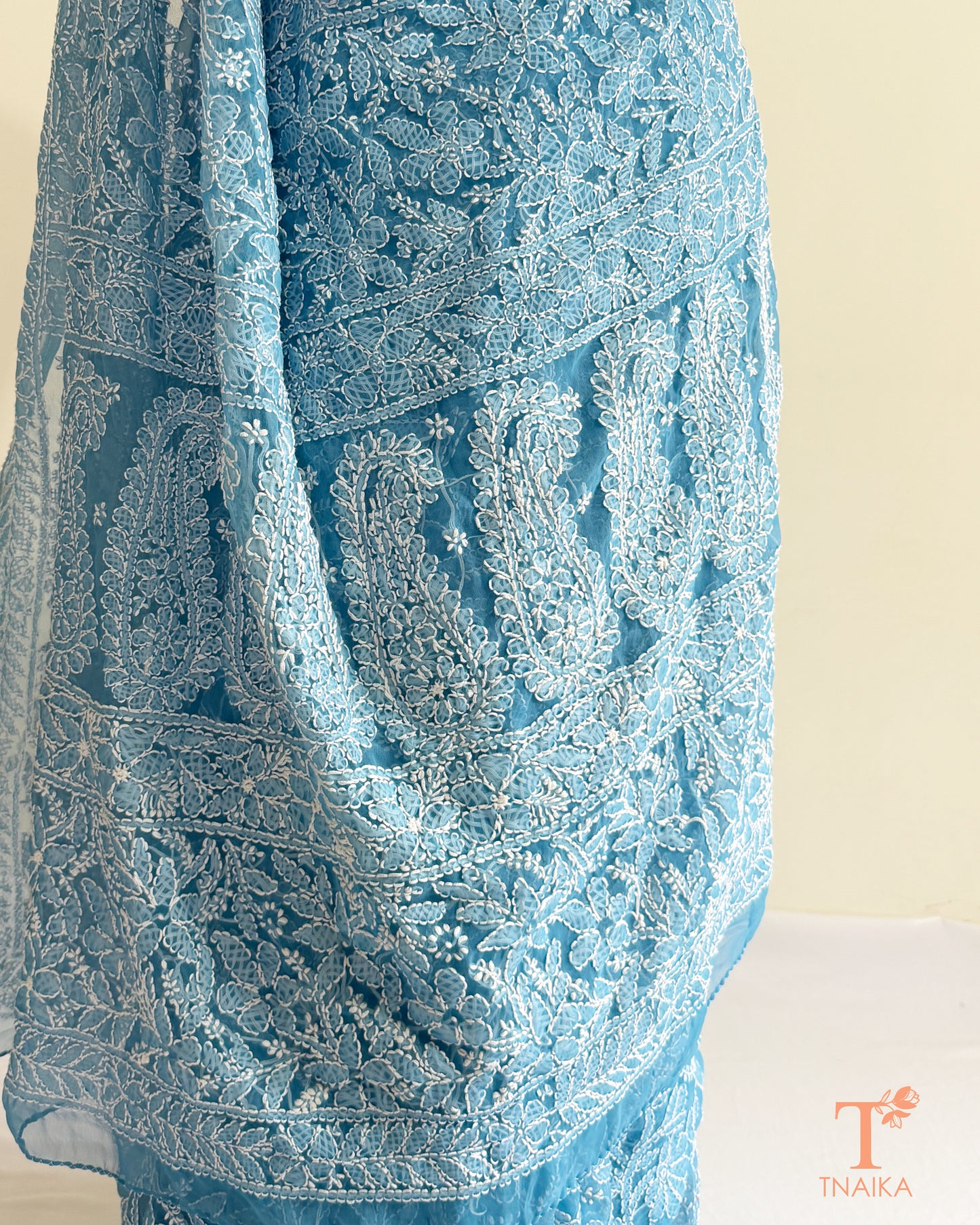 Luxury powder blue embroidered Chikankari saree with intricate paisley and vine motifs.