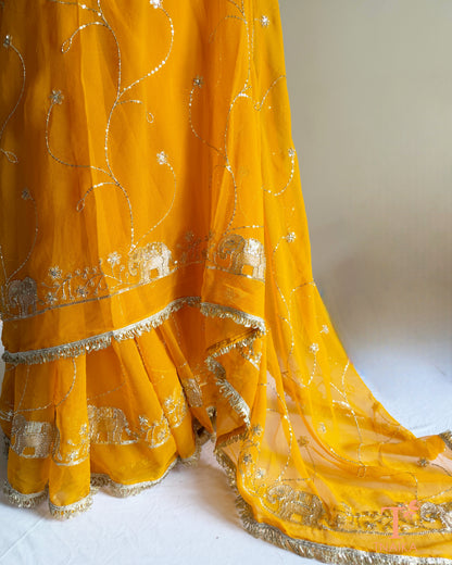Designer georgette saree with intricate cut dana embroidery and elegant border