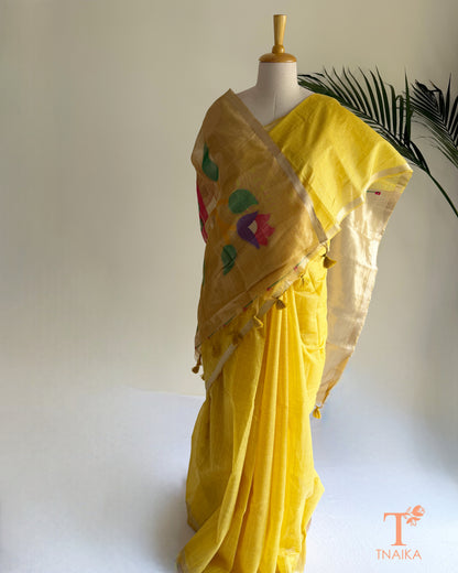 Cotton saree with Paithani-inspired multicolour pallu