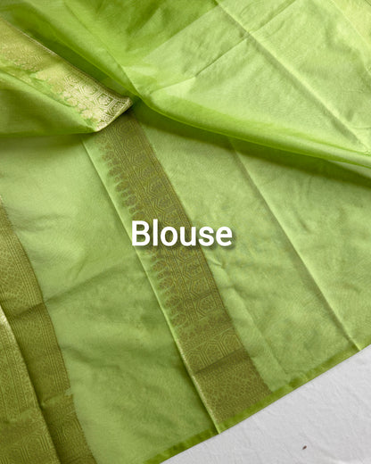 Banarasi silk organza saree with colourful Meenakari detailing